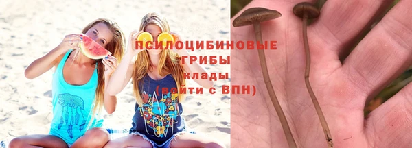 дмт Сатка