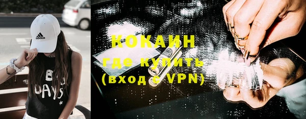 стаф Сафоново