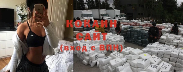 стаф Сафоново