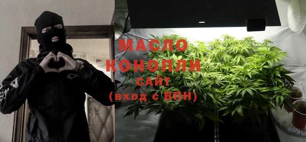 дмт Сатка