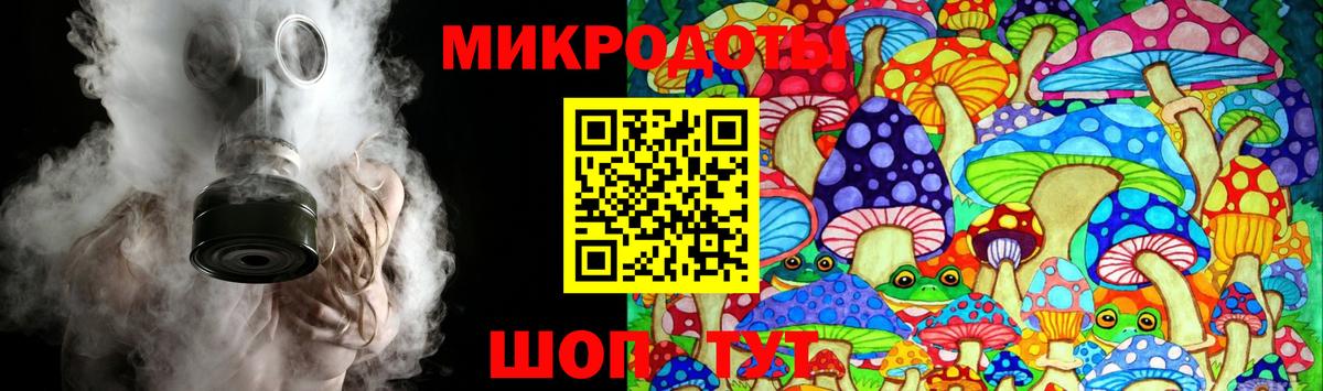 Псилоцибиновые грибы GOLDEN TEACHER  Тутаев 